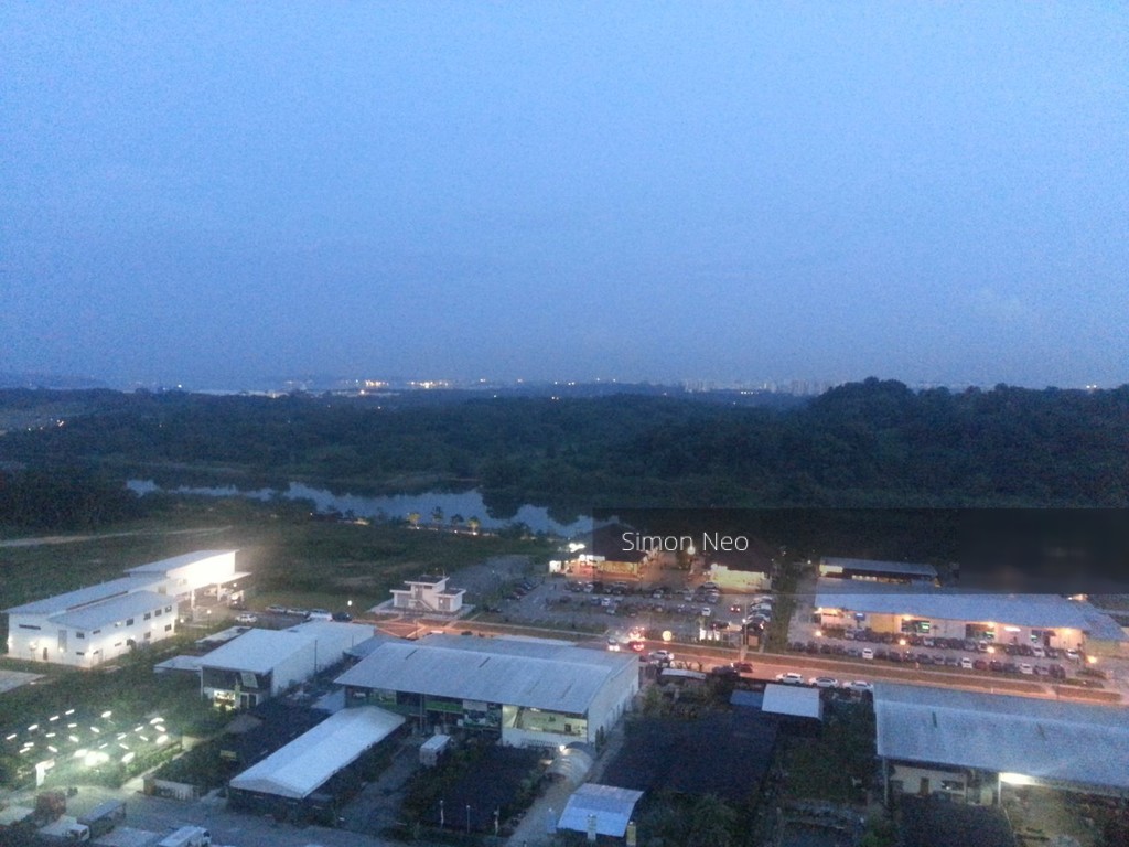 Blk 167A Punggol East (Punggol), HDB 4 Rooms #141467962